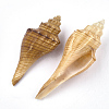 Conch Shell Beads SSHEL-S258-39-2