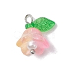 Mixed Color Glass Pearl & Acrylic Charms PALLOY-JF02567-01-2