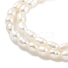 Natural Cultured Freshwater Pearl Beads Strands PEAR-P062-01H-4