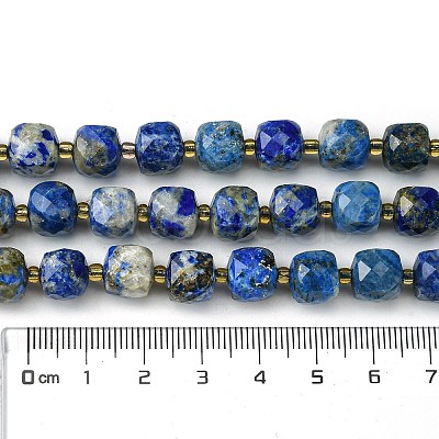 Natural Lapis Lazuli Beads Strands G-Q010-A03-01-1