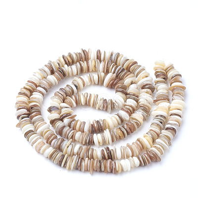 Natural Shell Beads Strands X-SSHEL-Q298-13-1