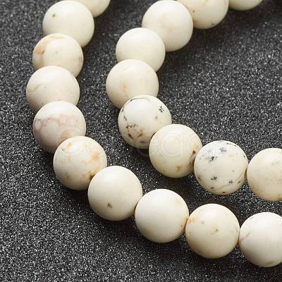 Nrtutal Magnesite Beads Strands G-L575-01B-1