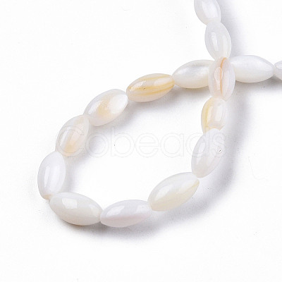 Natural Freshwater Shell Beads Strands X-SHEL-N026-212-A01-1