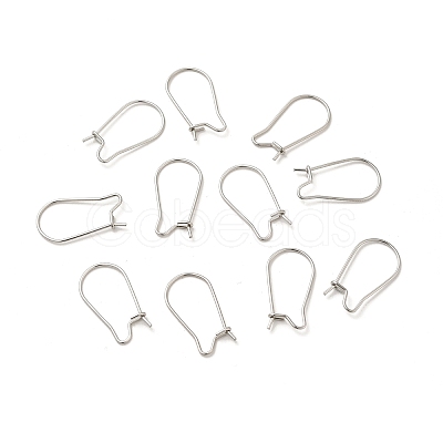 Tarnish Resistant 316 Surgical Stainless Steel Hoop Earrings Findings Kidney Ear Wires STAS-E009-6-1