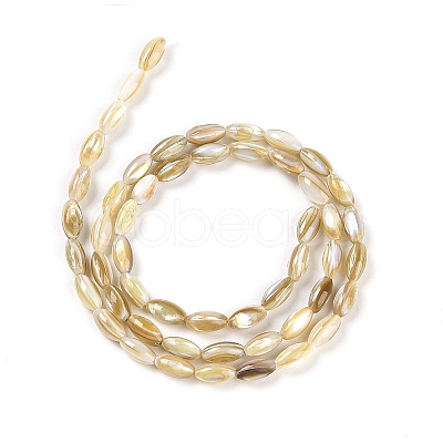 Natural Freshwater Shell Beads Strands BSHE-G036-03-1