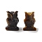 Natural Tiger Eye Carved Figurines, for Home Office Desktop Decoration, Owl, 15.5~18.5x13~15x22~24mm