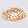 Pearl Luster Plated Imitation Jade Glass Faceted Rice Beads Strands GLAA-A030A-PL04-2