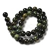 Natural Chrysoprase Beads Strands G-H298-A09-04-3