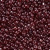 Glass Seed Beads SEED-US0003-3mm-105B-2