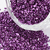 FGB Plated Glass Seed Beads SEED-S020-03C-09-1