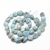 Natural Larimar Beads Strands G-R445-8x10-15-2