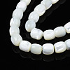 Natural Trochid Shell/Trochus Beads Strands SSHEL-N027-130B-01-3