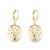 Clear Cubic Zirconia Oval Dangle Leverback Earrings EJEW-N012-89-2