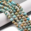 Dyed Natural Regalite/Imperial Jasper/Sea Sediment Jasper Beads Strands G-B124-C02-03-2