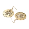 304 Stainless Steel Dangle Earrings EJEW-P271-11G-2