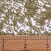MIYUKI Delica Beads SEED-JP0008-DB0288-4