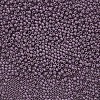 11/0 Grade A Baking Paint Glass Seed Beads X-SEED-N001-A-1048-2
