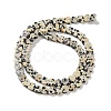 Natural Dalmatian Jasper Beads Strands G-M403-A31-02-3