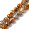 Natural Crazy Agate Beads Strands G-T047-A02-03-1