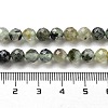 Natural Prehnite Beads Strands G-G140-A19-08-5