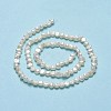 Natural Cultured Freshwater Pearl Beads Strands PEAR-A005-06-3