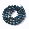 Natural Apatite Beads Strands G-R462-050C-AB-2