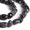 Natural Snowflake Obsidian Beads Strands G-D0002-D60-3
