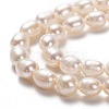 Natural Cultured Freshwater Pearl Beads Strands PEAR-L033-66-01-2