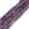 Natural Amethyst Beads Strands G-I256-02C-A-7
