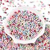 Glass Seed Beads SEED-T007-01R-1