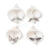 4Pcs 4 Styles Copper Wire Wrapped Shell Pendants PALLOY-JF02710-1