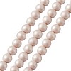 Shell Pearl Beads BSHE-TA0002-04B-8mm-2