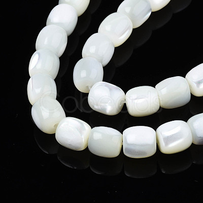 Natural Trochid Shell/Trochus Beads Strands SSHEL-N027-130B-01-1