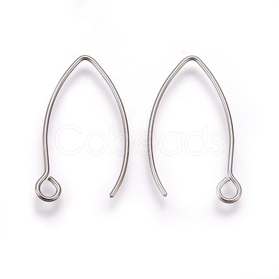 Tarnish Resistant 304 Stainless Steel Earring Hooks STAS-O119-03P-1