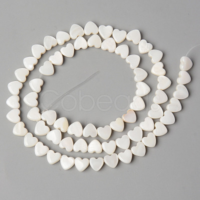 Natural Freshwater Shell Beads Strands SHEL-N026-71-1