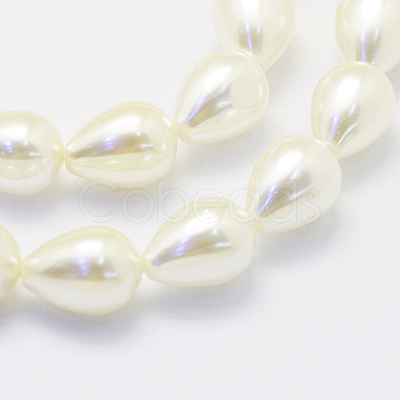 Shell Pearl Beads Strands BSHE-P024-05-1