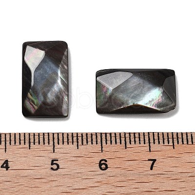 Natural Black Lip Shell Cabochons SSHEL-D084-02A-1