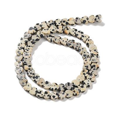 Natural Dalmatian Jasper Beads Strands G-M403-A31-02-1