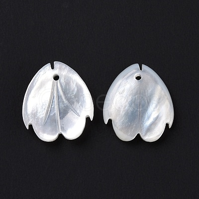 Natural White Shell Charms SSHEL-C011-07A-1