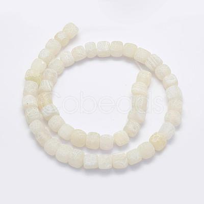 Natural Weathered Agate Beads Strands G-G705-10mm-04-1