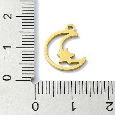 304 Stainless Steel Charms STAS-C097-23G-1