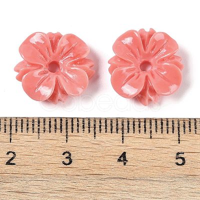 Synthetic Shell Dyed Beads SHEL-H005-17-1