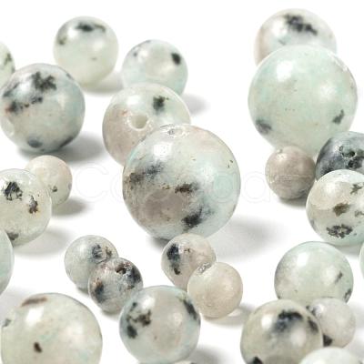 340Pcs 4 Sizes Natural Sesame Jasper/Kiwi Jasper Beads G-LS0001-33-1