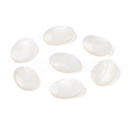 Natural Freshwater Shell Cabochons BSHE-G036-10A-1