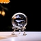 Inner Carving Glass Crystal Ball Diaplay Decoration, Fengshui Home Decor, Clear, Whale, 60mm