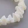 Natural Spiral Shell Beads Stretch Bracelets BJEW-JB03997-01-2