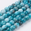 Natural Apatite Beads Strands G-J376-28-6mm-1