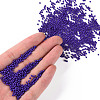 11/0 Grade A Baking Paint Glass Seed Beads X-SEED-N001-A-1010-4