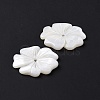 Natural White Shell Beads SSHEL-C011-08-4