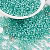 MIYUKI Round Rocailles Beads X-SEED-G008-RR0571-1